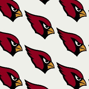 NFL License Arizona Cardinals